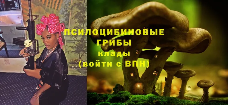 shop официальный сайт  Давлеканово  Галлюциногенные грибы Psilocybe  где можно купить наркотик 